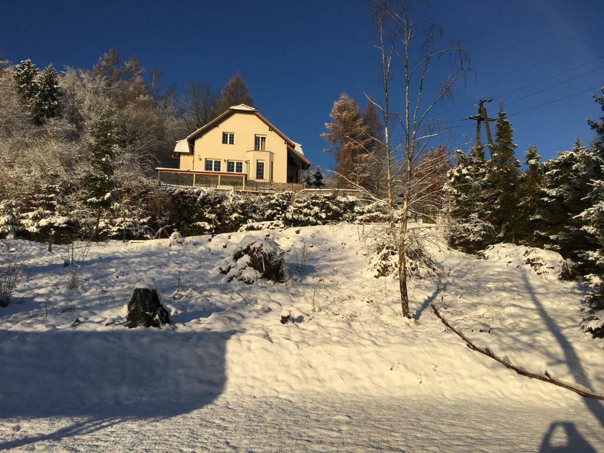 Villa The Dutchman Brodnica Dolna Eksteriør billede